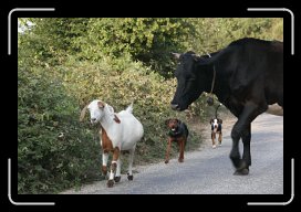 08-23-10 365 * 1728 x 1152 * (617KB)